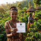 A woman in a coffee farm stands smiling and holding a gift card that reads 'ROAST THEORY Small Farm Single-Origin Coffee Gift Card' in front of a lush green coffee plantation with other workers and thatched huts in the background.